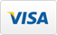 оплата картой Visa